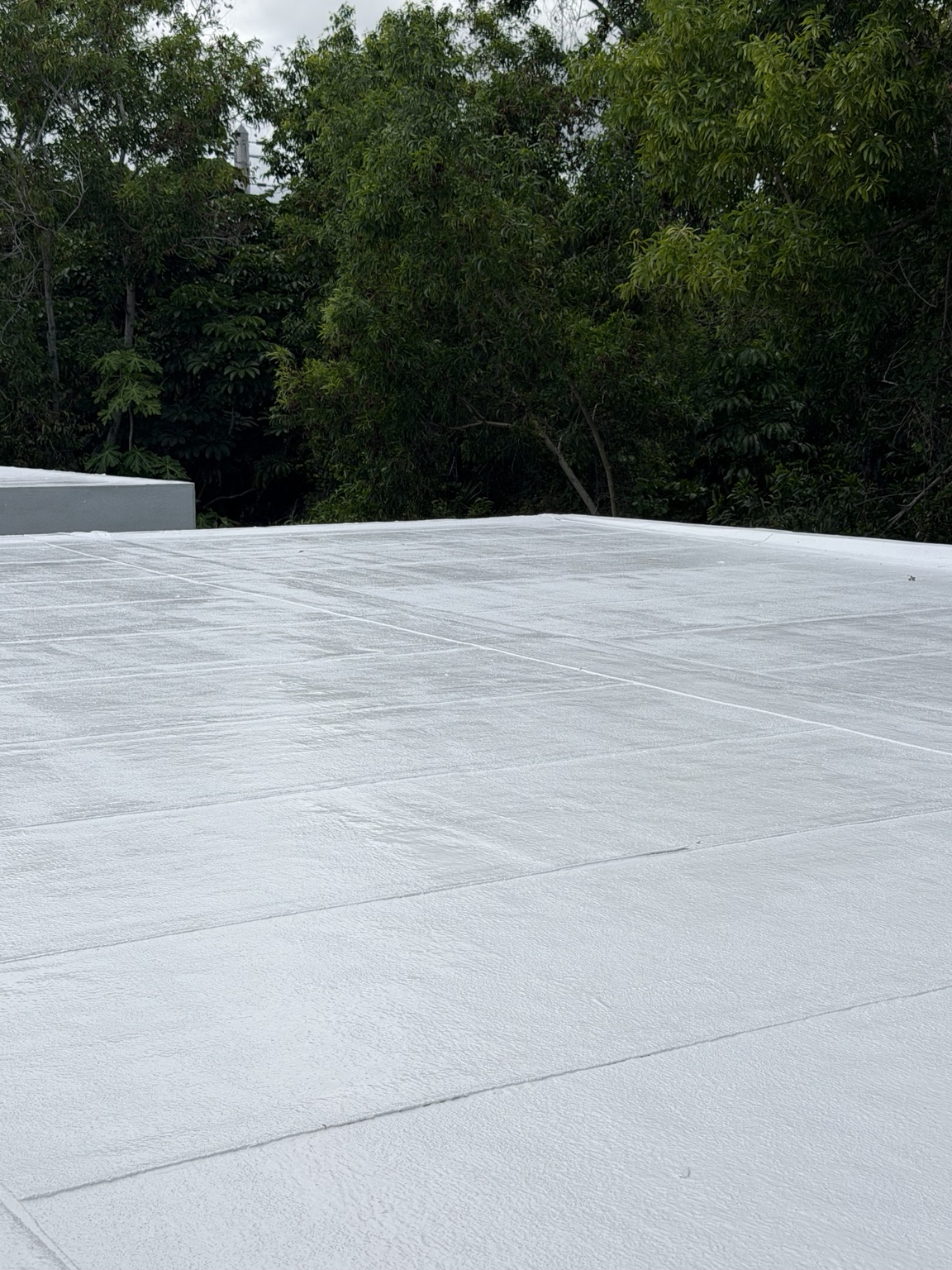 Close-up of finished white roof coating texture